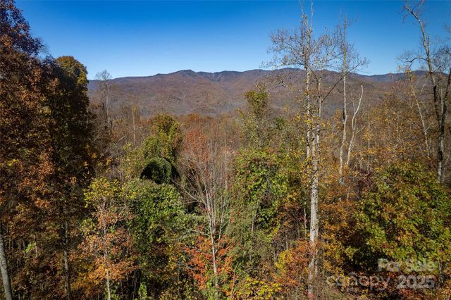 4 Copperhead Cove, Sylva, NC 28779