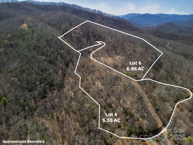 4 Copperhead Cove, Sylva, NC 28779