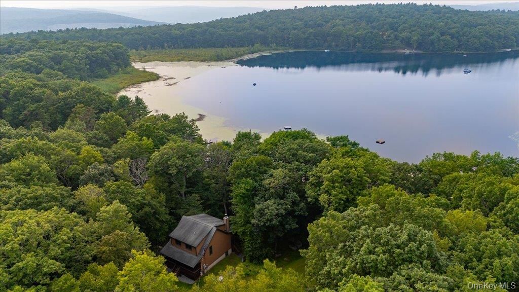 299 Zane Grey Way, Barryville, NY 12719
