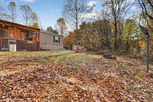 4430 Griffin Rd, Lynchburg, TN 37352