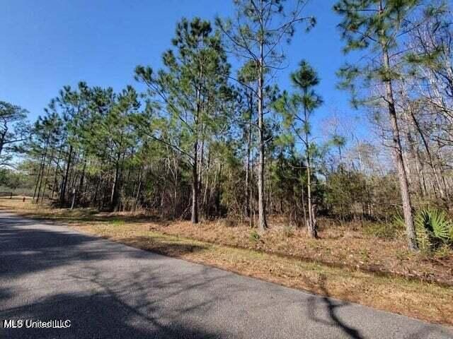 0 Wolf Street, Waveland, MS 39576