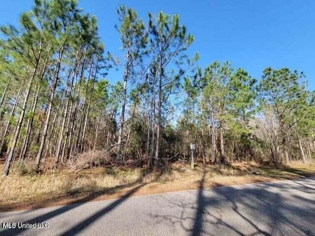 0 Wolf Street, Waveland, MS 39576