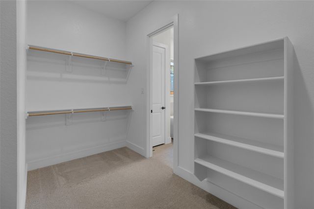 15521 Swallowtail Street, Frisco, TX 75035