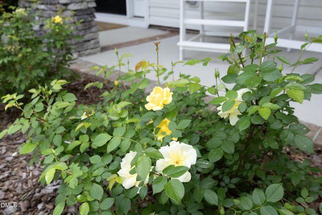 114 Colson Ridge Drive, Clayton, NC 27520