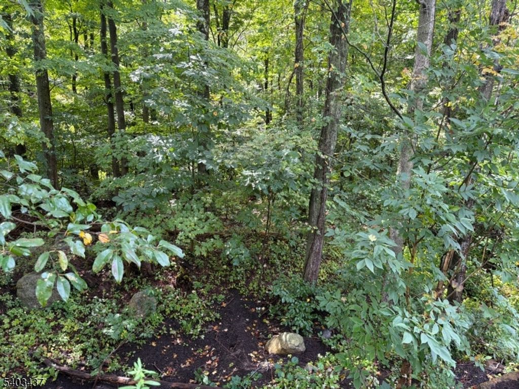 0 Ridge Rd, Jefferson Twp., NJ 07438 — photo 4