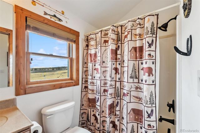 268 B Fuller Drive B, Fairplay, CO 80440