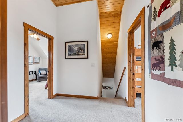 268 B Fuller Drive B, Fairplay, CO 80440