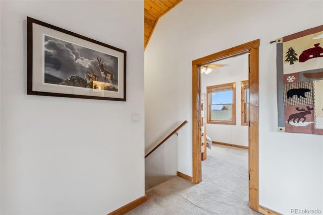 268 B Fuller Drive B, Fairplay, CO 80440