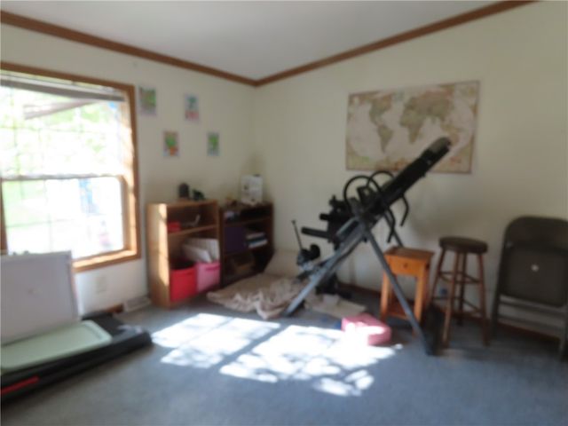 1098 Birdsey Road, Junius, NY 13165