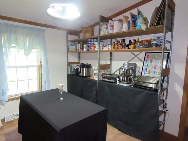 1098 Birdsey Road, Junius, NY 13165