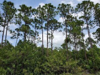 51000 Southwind Trail, Fort Pierce, FL 34945