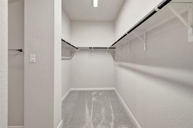 16238 Summer Aster Trail, Hockley, TX 77447