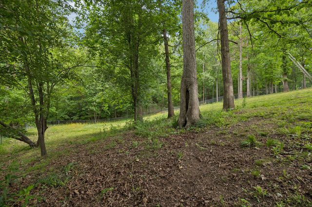 3361 Backridge Rd, Woodlawn, TN 37191