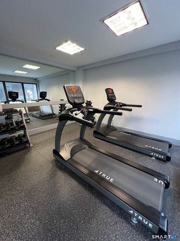 300 Broad Street 707, Stamford, CT 06902