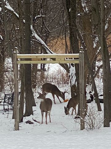 1506 WOODFIELD Drive, Mahomet, IL 61853