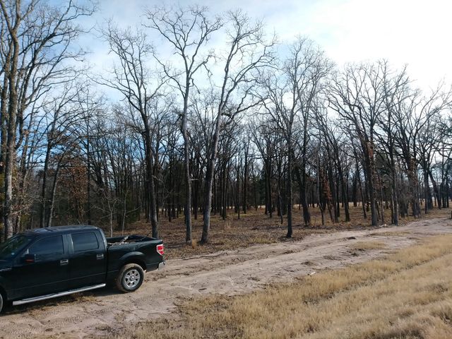 lot 5 Epic Shore Drive, Quinlan, TX 75474