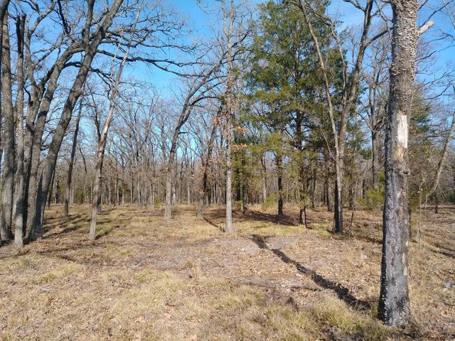 lot 5 Epic Shore Drive, Quinlan, TX 75474