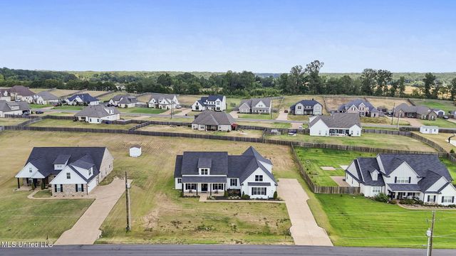 3702 S Fossil Hill Drive, Hernando, MS 38632