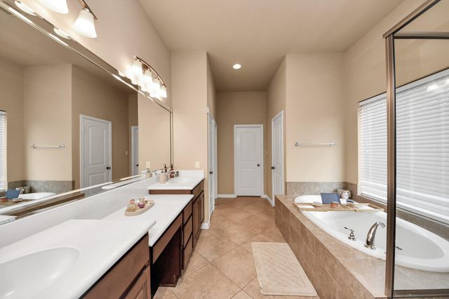 13723 Playa Lucia Court, Houston, TX 77044