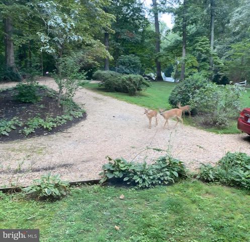 10221 HELENA TER, Spotsylvania, VA 22553