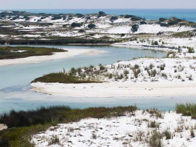 54 Mountain Top Dune Drive, Santa Rosa Beach, FL 32459