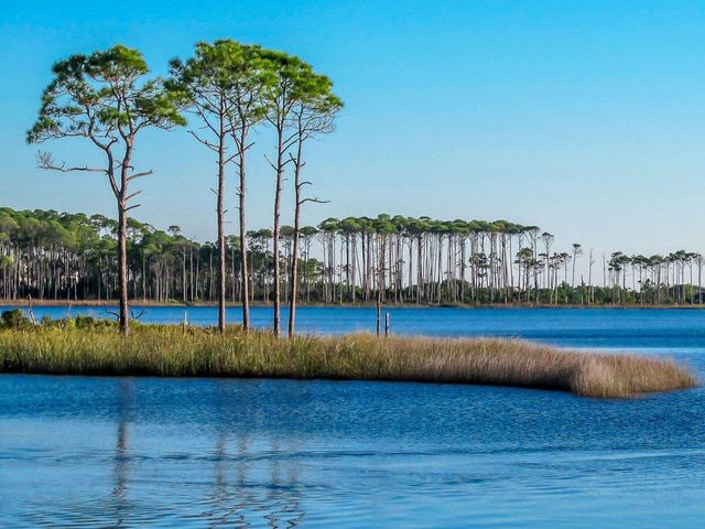 54 Mountain Top Dune Drive, Santa Rosa Beach, FL 32459
