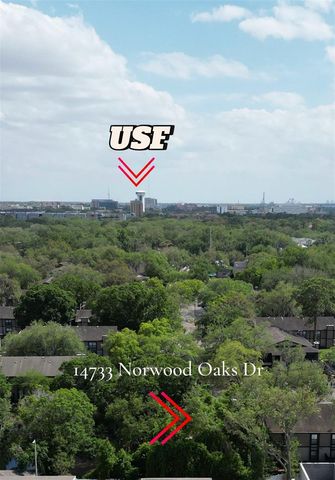 14733 NORWOOD OAKS DRIVE 201, Tampa, FL 33613