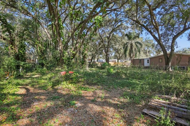 10706 MAGNOLIA DRIVE, Thonotosassa, FL 33592