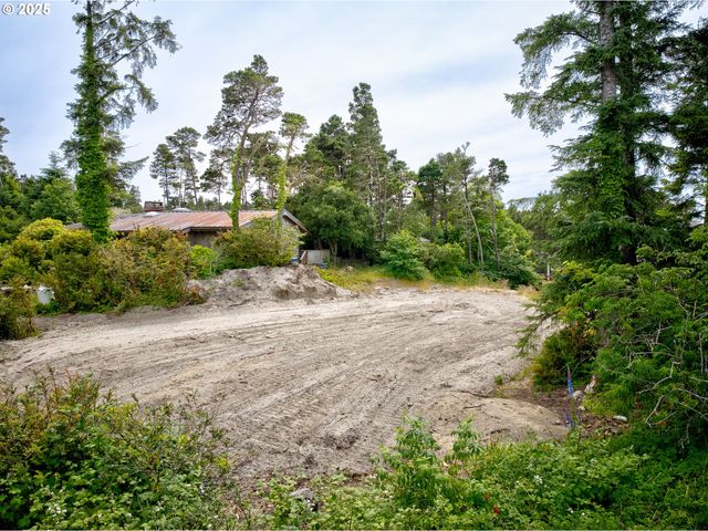 1202 234TH Pl, Ocean Park, WA 98640