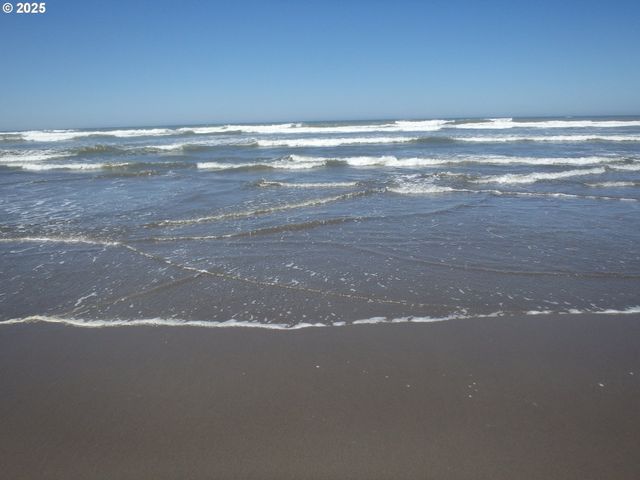 1202 234TH Pl, Ocean Park, WA 98640