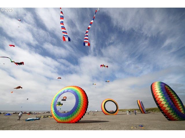 1202 234TH Pl, Ocean Park, WA 98640