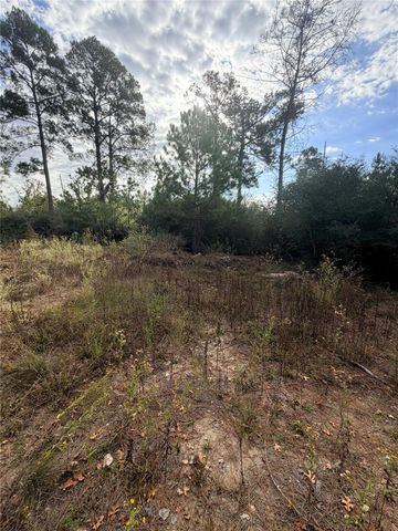 127 Koali DR, Bastrop, TX 78602