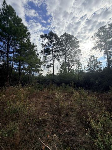 127 Koali DR, Bastrop, TX 78602