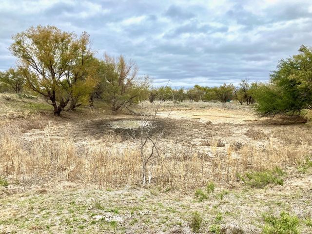 25AC Tract 2 Hwy 6, Moran, TX 76464