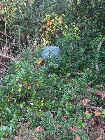 0 River Road, Angleton, TX 77515