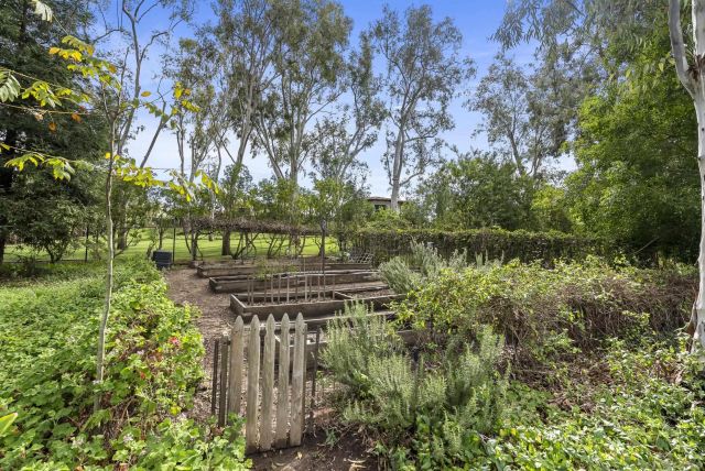 17307 Calle Mayor, Rancho Santa Fe, CA 92067