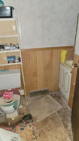 728 E Main Street, Ionia, MI 48846