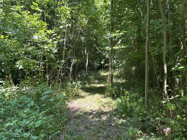 Stuck Road, Marcellus, MI 49067