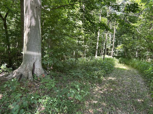 Stuck Road, Marcellus, MI 49067