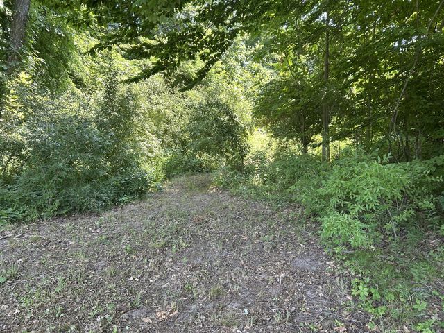 Stuck Road, Marcellus, MI 49067