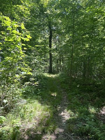 Stuck Road, Marcellus, MI 49067