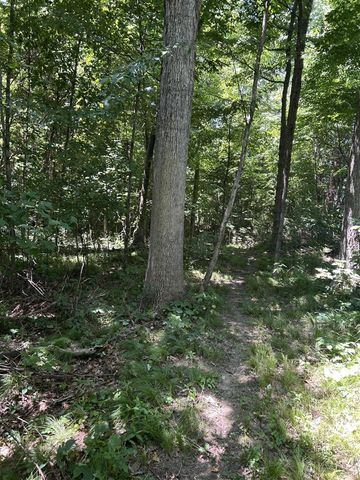 Stuck Road, Marcellus, MI 49067