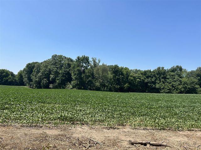 Stuck Road, Marcellus, MI 49067