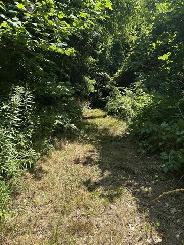 Stuck Road, Marcellus, MI 49067