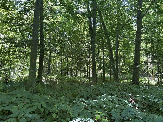 Stuck Road, Marcellus, MI 49067