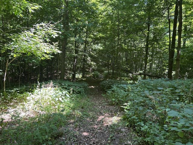 Stuck Road, Marcellus, MI 49067
