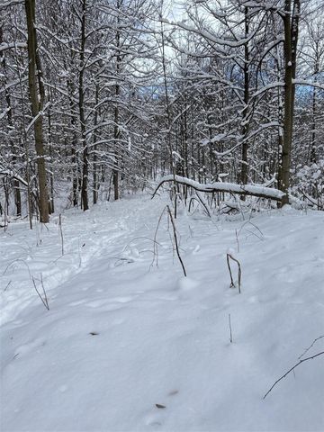 Stuck Road, Marcellus, MI 49067