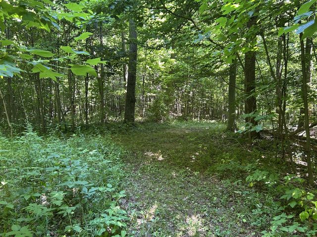 Stuck Road, Marcellus, MI 49067