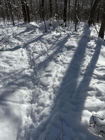 Stuck Road, Marcellus, MI 49067