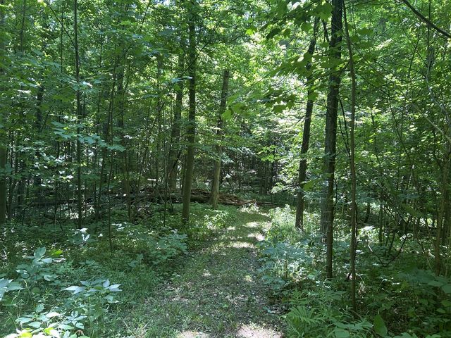 Stuck Road, Marcellus, MI 49067
